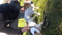 Jack Russell terrier Ανω Λιοσια νομού Αττικής - Δυτικής, Αττική Ζώα - Κατοικίδια Πωλούνται (μικρογραφία 1)