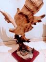 Ξυλόγλυπτος Αετός της Pacific Colletion βάρους 10 κιλών Αθήνα νομού Αττικής - Αθηνών, Αττική Έπιπλα - Είδη σπιτιού / κήπου Πωλούνται (μικρογραφία 3)