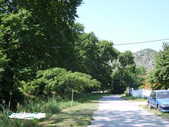 Μονοκατοικία με  αυλή Αριδαια νομού Πέλλης, Μακεδονία Σπίτια / Διαμερίσματα προς πώληση Ακίνητα (φωτογραφία 1)