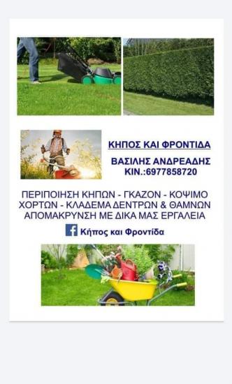 Περιποίηση κήπων οικοπέδων αγρών. Κατερίνη νομού Πιερίας, Μακεδονία Υπηρεσίες κτιρίων - Συντήρηση Υπηρεσίες (φωτογραφία 1)