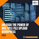 Unleash the Power of Multiple File Upload WordPress (μικρογραφία)