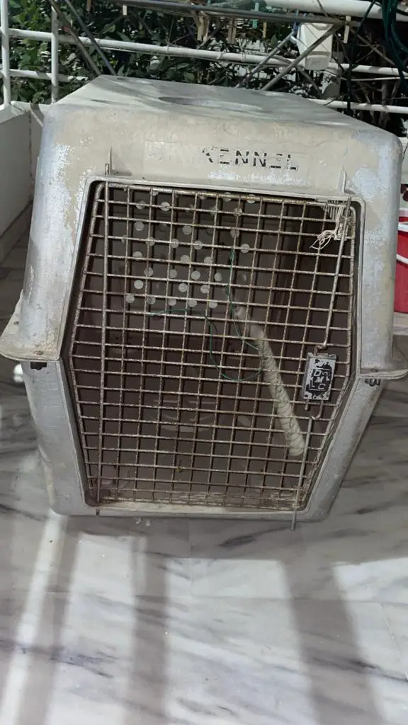 ΚΛΟΥΒΙ ΜΕΓΑΛΟΣΩΜΟΥ ΣΚΥΛΟΥ KANNEL