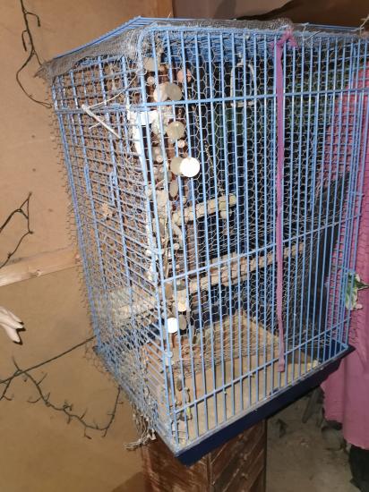 Κλουβί μεγάλο για πουλιά Θεσσαλονίκη νομού Θεσσαλονίκης, Μακεδονία Ζώα - Κατοικίδια Πωλούνται (φωτογραφία 1)