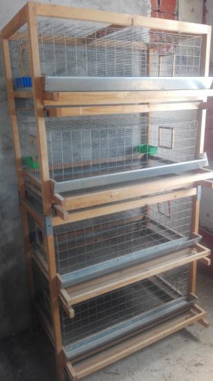 Σταθερο κλουβι για ορτικια Καβάλα νομού Καβάλας, Μακεδονία Ζώα - Κατοικίδια Πωλούνται (φωτογραφία 1)
