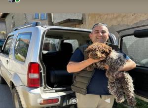 Lagotto Lagotto - αγγελίες για Ζώα - Κατοικίδια σε Αμπελωνας - Πωλούνται στο Νομό Λαρίσης, Θεσσαλία - FreeList.gr aggelia 302920 (μικρογραφία 2)