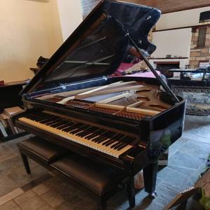 Grand Piano ESTONIA 3/4 μεταχειρισμένο (άριστη κατάσταση)