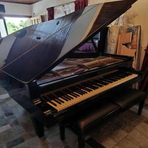 Grand Piano ESTONIA 3/4 μεταχειρισμένο (άριστη κατάσταση) - (μικρογραφία 3)