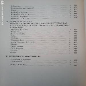 ΑΜΠΕΛΟΓΡΑΦΙΑ  Μ.Βλαχος - (μικρογραφία 3)