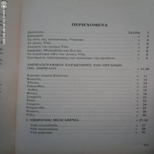 ΑΜΠΕΛΟΓΡΑΦΙΑ  Μ.Βλαχος - (μικρογραφία 2)