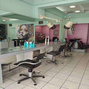 Πωλείται πλήρως λειτουργική και οικονομικά υγιής επιχείρηση - (μικρογραφία 4)