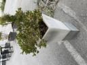 Γλάστρα με εσωτερικό φωτισμός Λάρισα νομού Λαρίσης, Θεσσαλία Έπιπλα - Είδη σπιτιού / κήπου Πωλούνται (μικρογραφία 3)