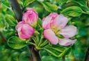 Πίνακας ζωγραφικής "Άνθη μηλιάς" (μικρογραφία)