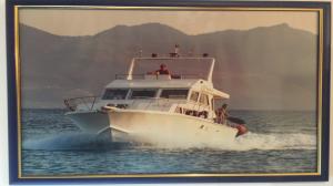 ΤΑΧΥΠΛΟΟ ΣΚΑΦΟΣ ΤΑΧΥΠΛΟΟ ΣΚΑΦΟΣ - αγγελίες για Βάρκες - Σκάφη σε Κυλληνη - Οχήματα στο Νομό Ηλείας, Πελοπόννησος - FreeList.gr aggelia 302932 (μικρογραφία 12)