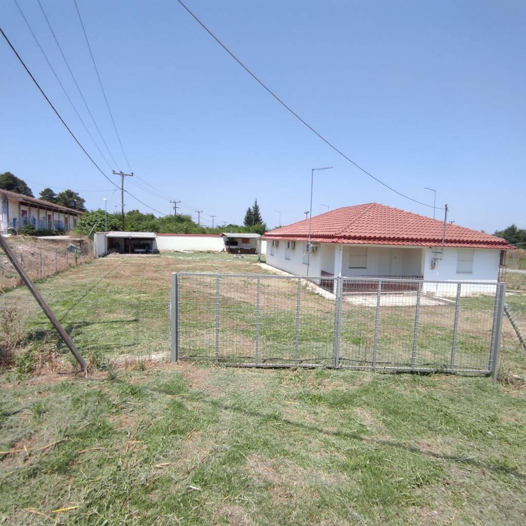 Πωλείται - Πωλείται - Σοφαδες Σπίτια / Διαμερίσματα προς πώληση Ακίνητα Ν. Καρδίτσας, Θεσσαλία αγγελία 302933 FreeList.gr (φωτογραφία 1) Πωλείται Πωλείται - αγγελίες για Σπίτια / Διαμερίσματα προς πώληση σε Σοφαδες - Ακίνητα στο Νομό Καρδίτσας, Θεσσαλία - FreeList.gr aggelia 302933 (φωτογραφία 1)