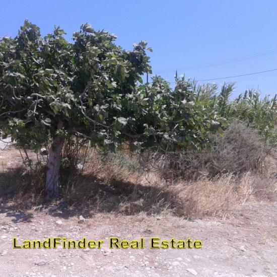 C0743 ΠΩΛΟΥΝΤΑΙ 50.000€ οικόπεδα των 1.000 τ.μ+30 6970847459 Ρόδος νομού Δωδεκανήσου, Νησιά Αιγαίου Οικόπεδα - Αγροτεμάχια Ακίνητα (φωτογραφία 1)