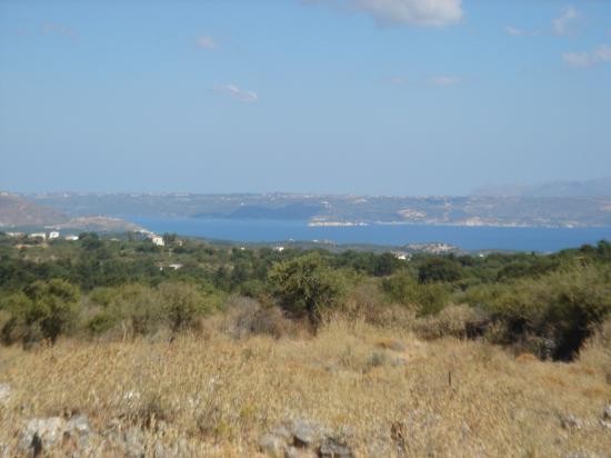 Oικόπεδο 14,5 στρέμματα Βαμος νομού Χανιών, Κρήτη Οικόπεδα - Αγροτεμάχια Ακίνητα (φωτογραφία 1)