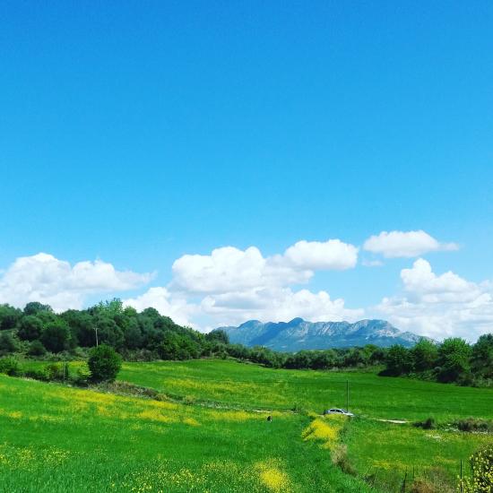 Αγροτεμάχιο 12 στρεμματων Αμαλιαδα νομού Ηλείας, Πελοπόννησος Οικόπεδα - Αγροτεμάχια Ακίνητα (φωτογραφία 1)