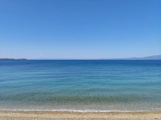 Αγροτεμάχιο 4592 τ.μ. προς πώληση Παλιούρι (Παλλήνη) 4/10/20 Πευκοχωρι νομού Χαλκιδικής, Μακεδονία Οικόπεδα - Αγροτεμάχια Ακίνητα (φωτογραφία 1)