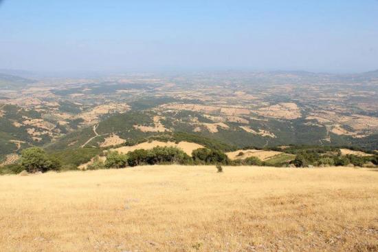 ΑΓΡΟΤΕΜΑΧΙΟ ΚΑΛΟΥΣΙ ΠΑΤΡΩΝ Χαλανδριτσα νομού Αχαϊας, Πελοπόννησος Οικόπεδα - Αγροτεμάχια Ακίνητα (φωτογραφία 1)