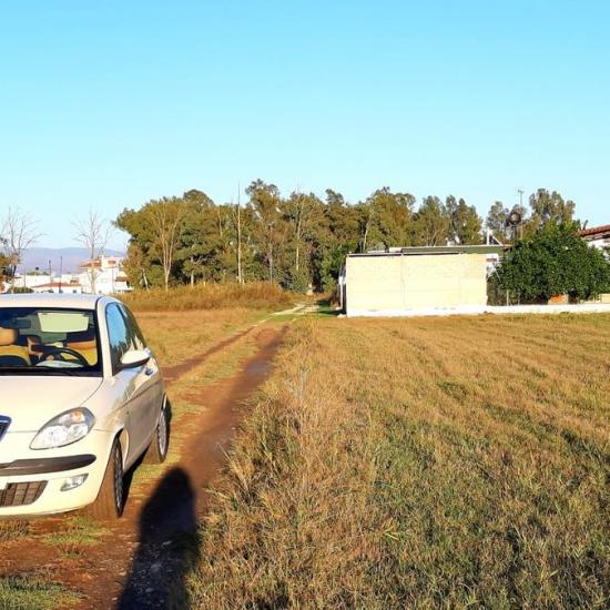 Αγροτεμαχιο καταλληλο για καλλιεργεια ελιας! Νεα Κιος νομού Αργολίδος, Πελοπόννησος Οικόπεδα - Αγροτεμάχια Ακίνητα (φωτογραφία 1)