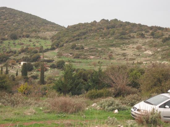 ΑΓΡΟΤΕΜΑΧΙΟ-ΚΥΠΑΡΙΣΣΙΑ ΧΩΡΙΟ ΒΑΝΑΔΑ Κυπαρισσια νομού Μεσσηνίας, Πελοπόννησος Οικόπεδα - Αγροτεμάχια Ακίνητα (φωτογραφία 1)