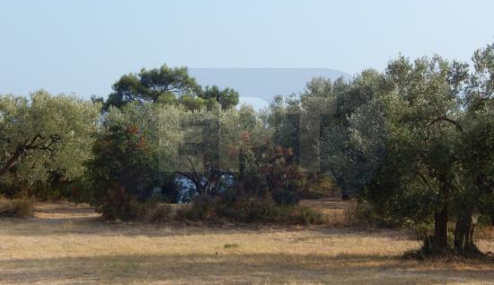 Αγροτεμαχιο οικοδομησιμο 9ο χιλ Αλεξανδρουπολης Μακρης Αλεξανδρούπολη νομού Έβρου, Θράκη Ανταλλαγή ακινήτου Ακίνητα (φωτογραφία 1)