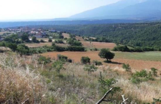 Αγροτεμαχιο στην Μεσαια Μηλια Κατερίνη νομού Πιερίας, Μακεδονία Οικόπεδα - Αγροτεμάχια Ακίνητα (φωτογραφία 1)