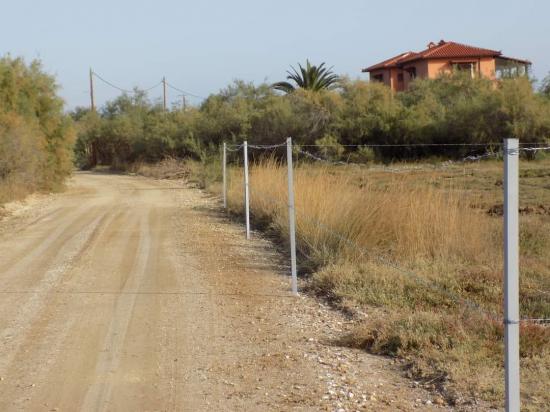 Αγροτεμάχιο στο δεύτερο πόδι της Χαλκιδικής Ορμυλια νομού Χαλκιδικής, Μακεδονία Οικόπεδα - Αγροτεμάχια Ακίνητα (φωτογραφία 1)