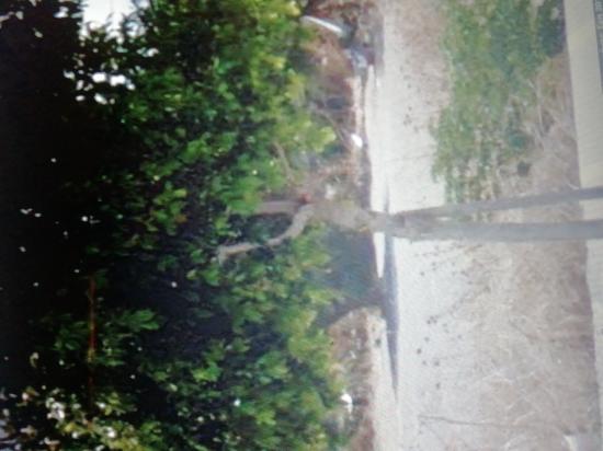 ΕΝΟΙΚΙΑΣΗ-ΑΝΤΙΠΑΡΟΧΗ-ΠΩΛΗΣΗ Λουτρακι νομού Κορινθίας, Πελοπόννησος Οικόπεδα - Αγροτεμάχια Ακίνητα (φωτογραφία 1)
