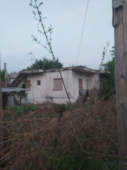 Μονοκατοικία Αρτεσιανό Καρδίτσας Καρδίτσα νομού Καρδίτσας, Θεσσαλία Σπίτια / Διαμερίσματα προς πώληση Ακίνητα (φωτογραφία 1)
