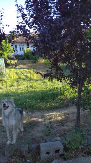 Μονοκατοικία σε πολύ καλη θεση Σκυδρα νομού Πέλλης, Μακεδονία Σπίτια / Διαμερίσματα προς πώληση Ακίνητα (φωτογραφία 1)