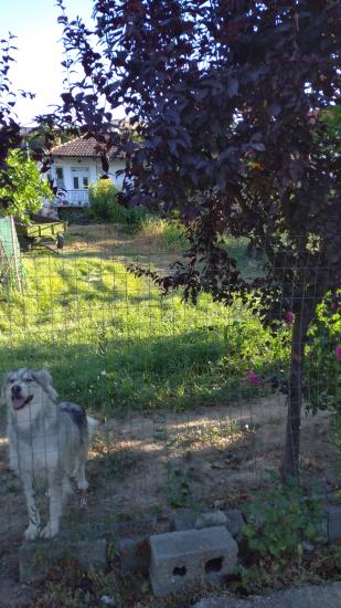 Μονοκατοικία σε πολύ καλη θεση Σκυδρα νομού Πέλλης, Μακεδονία Σπίτια / Διαμερίσματα προς πώληση Ακίνητα (φωτογραφία 1)