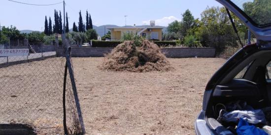 Οικόπεδο 300τμ 25.000€ Ωρωπός νομού Αττικής - Ανατολικής, Αττική Οικόπεδα - Αγροτεμάχια Ακίνητα (φωτογραφία 1)