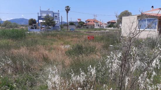 Οικοπεδο 320 τμ με σδ 08 Χαλκίδα νομού Ευβοίας, Στερεά Ελλάδα Οικόπεδα - Αγροτεμάχια Ακίνητα (φωτογραφία 1)