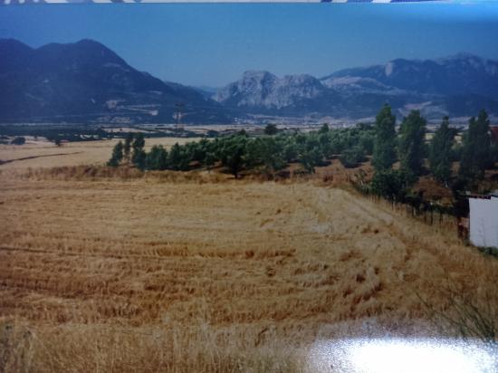 Οικόπεδο στο Δημοτικό Διαμέρισμα Παλαιοχωρίου Δωριέων Αμφικλεια νομού Φθιώτιδας, Στερεά Ελλάδα Οικόπεδα - Αγροτεμάχια Ακίνητα (φωτογραφία 1)