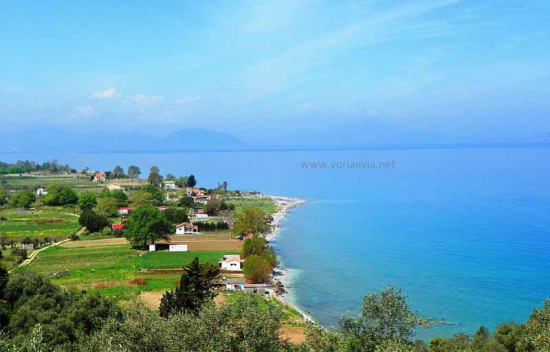 Περιφραγμένο κτήμα, κοντά στην παραλία Ιστιαια νομού Ευβοίας, Στερεά Ελλάδα Οικόπεδα - Αγροτεμάχια Ακίνητα (φωτογραφία 1)