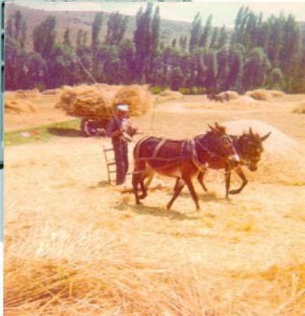 Πωλείται Αγροτεμάχιο Λευκίμμης Κέρκυρας Λευκιμμη νομού Κέρκυρας, Νησιά Ιονίου Οικόπεδα - Αγροτεμάχια Ακίνητα (φωτογραφία 1)