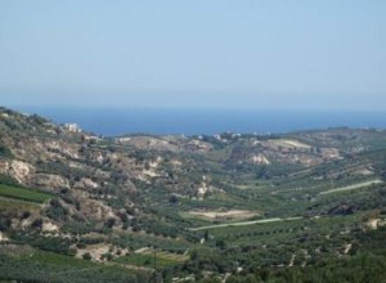 ΠΩΛΕΙΤΑΙ ενα ωραιο κοματι  γη Δαφνες νομού Ηρακλείου, Κρήτη Οικόπεδα - Αγροτεμάχια Ακίνητα (φωτογραφία 1)