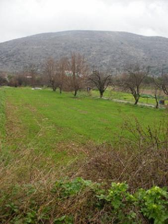 Πωλείται γωνιακό οικόπεδο Μαλια νομού Ηρακλείου, Κρήτη Οικόπεδα - Αγροτεμάχια Ακίνητα (φωτογραφία 1)