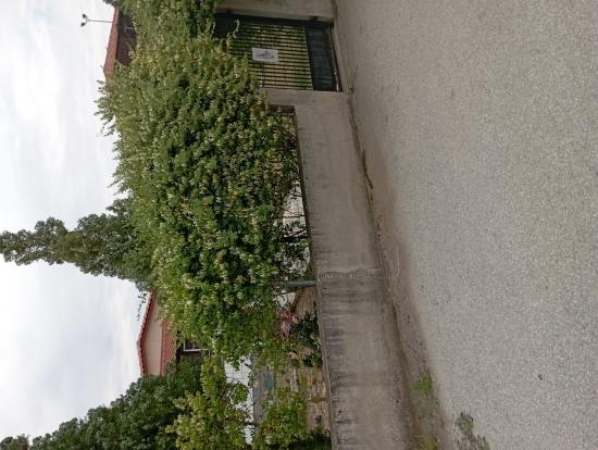 Πωλείται μονοκατοικια Ελευθερουπολη νομού Καβάλας, Μακεδονία Σπίτια / Διαμερίσματα προς πώληση Ακίνητα (φωτογραφία 1)