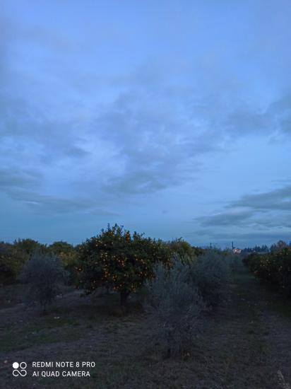 Πωλείται οικόπεδο 1235 τ.μ. Βελο νομού Κορινθίας, Πελοπόννησος Οικόπεδα - Αγροτεμάχια Ακίνητα (φωτογραφία 1)