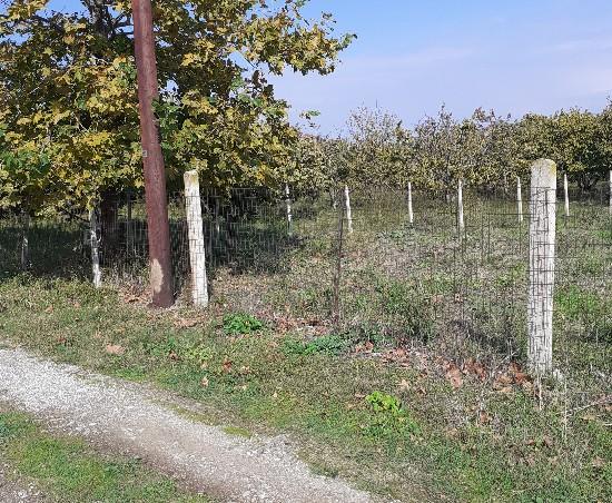 Πωλείται οικόπεδο στη σωτηρίτσα Αγια νομού Λαρίσης, Θεσσαλία Οικόπεδα - Αγροτεμάχια Ακίνητα (φωτογραφία 1)