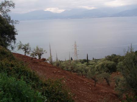 ΠΩΛΗΣΗ ΕΛΑΙΟΣΤΑΣΙΟΥ (ΣΕΡΓΟΥΛΑ) Ευπαλιο νομού Φωκίδας, Στερεά Ελλάδα Οικόπεδα - Αγροτεμάχια Ακίνητα (φωτογραφία 1)