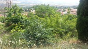 Οικόπεδο 252 τ.μ. για πώληση, Χαλκιδική, Ανθεμούντας Οικόπεδο 252 τ.μ. για πώληση, Χαλκιδική, Ανθεμούντας - αγγελίες για Οικόπεδα - Αγροτεμάχια σε Γαλατιστα - Ακίνητα στο Νομό Χαλκιδικής, Μακεδονία - FreeList.gr aggelia 302764 (μικρογραφία 3)