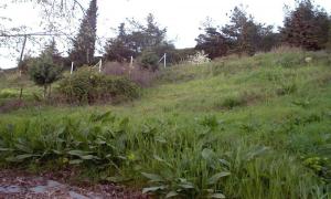 Οικόπεδο 252 τ.μ. για πώληση, Χαλκιδική, Ανθεμούντας Οικόπεδο 252 τ.μ. για πώληση, Χαλκιδική, Ανθεμούντας - αγγελίες για Οικόπεδα - Αγροτεμάχια σε Γαλατιστα - Ακίνητα στο Νομό Χαλκιδικής, Μακεδονία - FreeList.gr aggelia 302764 (μικρογραφία 4)