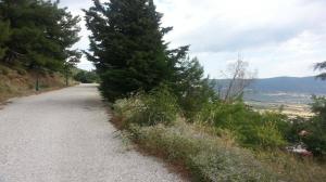 Οικόπεδο 252 τ.μ. για πώληση, Χαλκιδική, Ανθεμούντας Οικόπεδο 252 τ.μ. για πώληση, Χαλκιδική, Ανθεμούντας - αγγελίες για Οικόπεδα - Αγροτεμάχια σε Γαλατιστα - Ακίνητα στο Νομό Χαλκιδικής, Μακεδονία - FreeList.gr aggelia 302764 (μικρογραφία 7)