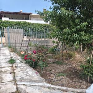 Δυάρι  Ισόγειο, 35τμ σε αυτόνομο οικόπεδο 600τμ - (μικρογραφία 6)