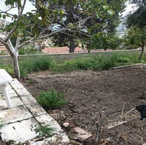 Δυάρι  Ισόγειο, 35τμ σε αυτόνομο οικόπεδο 600τμ - (μικρογραφία 8)