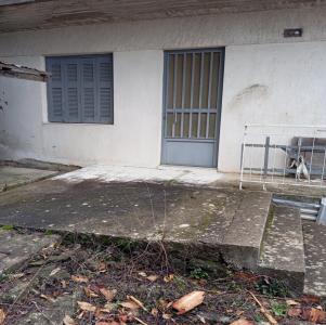 Μονοκατοικία 70τμ σε κτήμα σε 2 στρεμμάτων - (μικρογραφία 4)