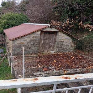 Μονοκατοικία 70τμ σε κτήμα σε 2 στρεμμάτων - (μικρογραφία 3)